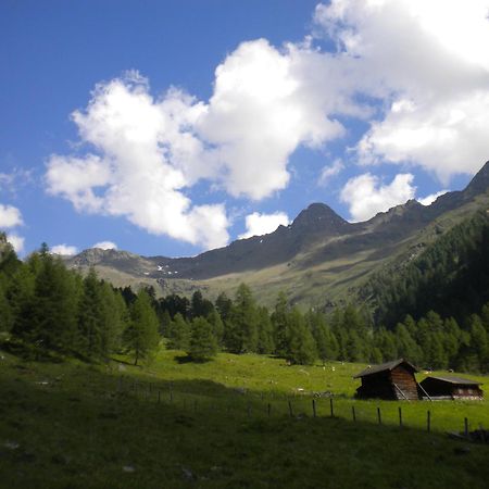 Bed & Breakfast Dolomiti Bey Haus Pinter Assling Exterior photo