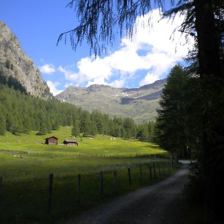 Bed & Breakfast Dolomiti Bey Haus Pinter Assling Exterior photo