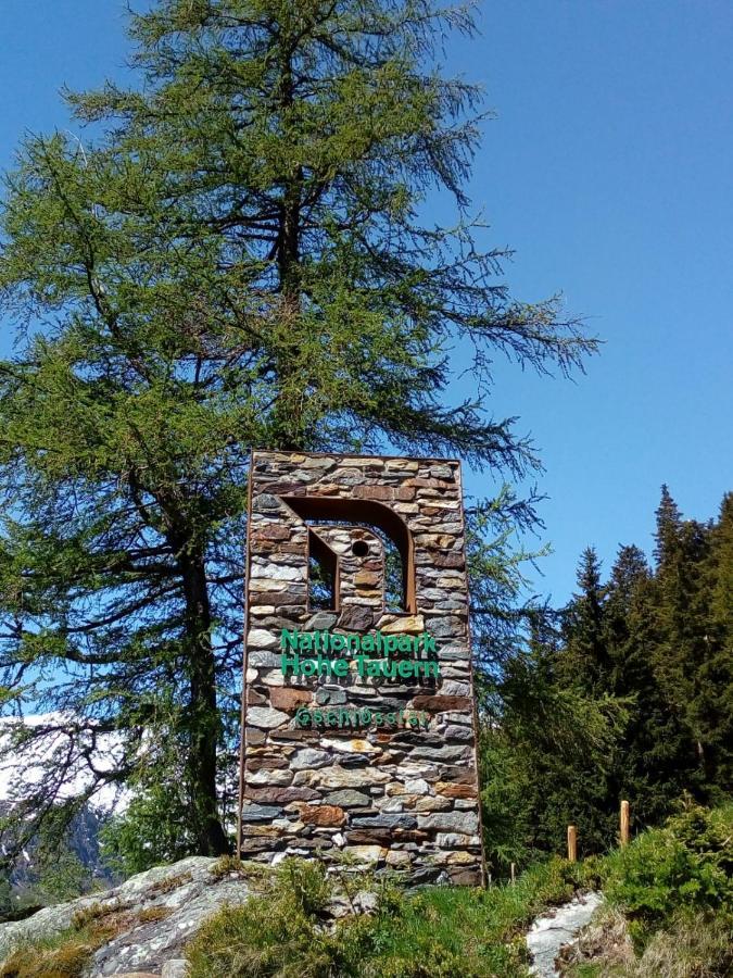 Bed & Breakfast Dolomiti Bey Haus Pinter Assling Exterior photo
