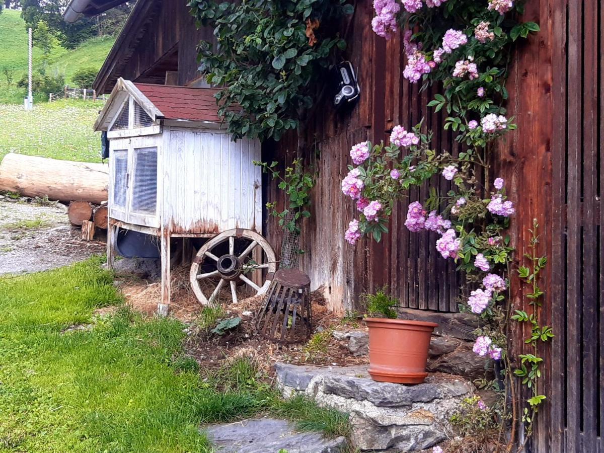Bed & Breakfast Dolomiti Bey Haus Pinter Assling Exterior photo
