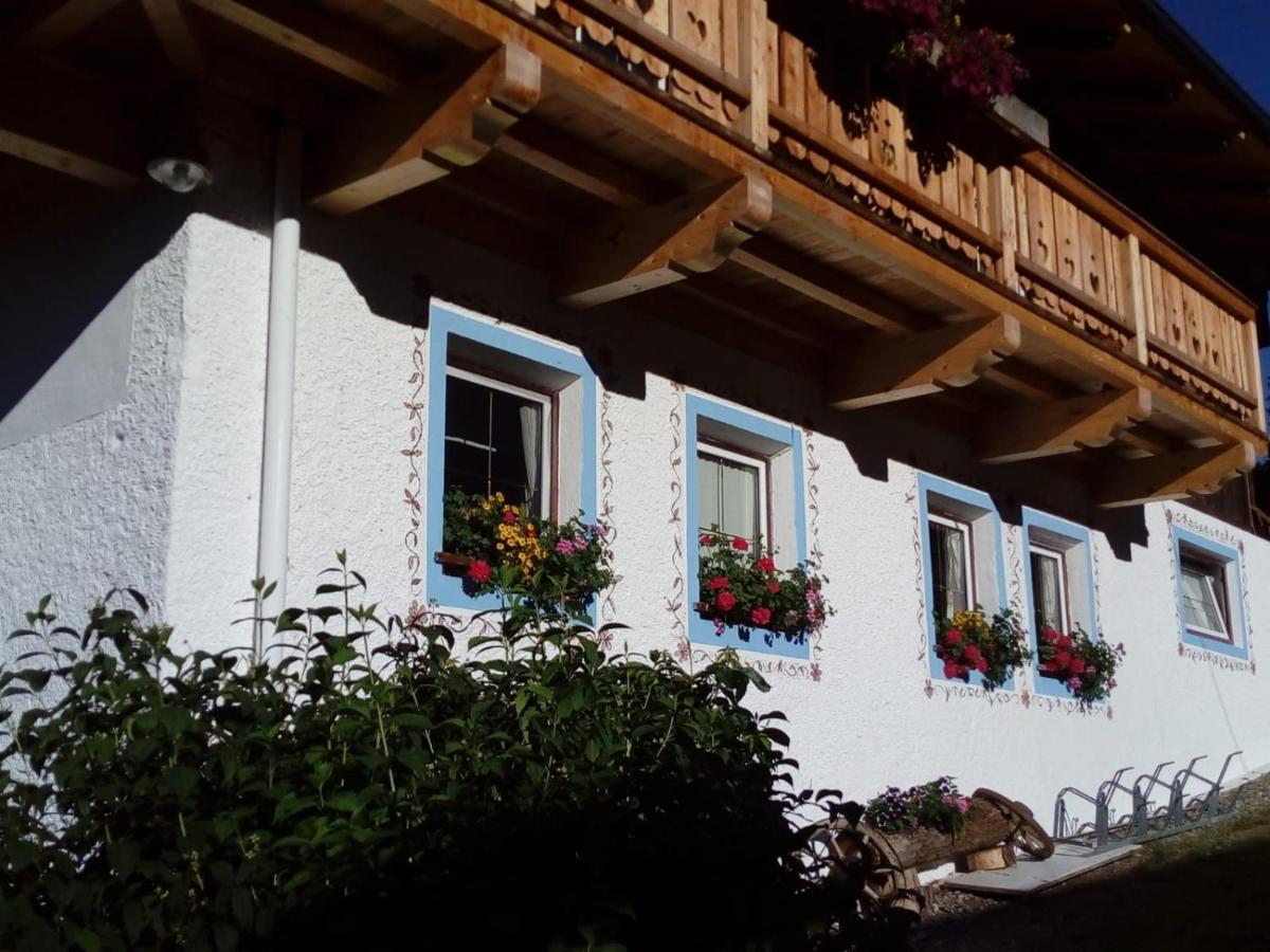 Bed & Breakfast Dolomiti Bey Haus Pinter Assling Exterior photo
