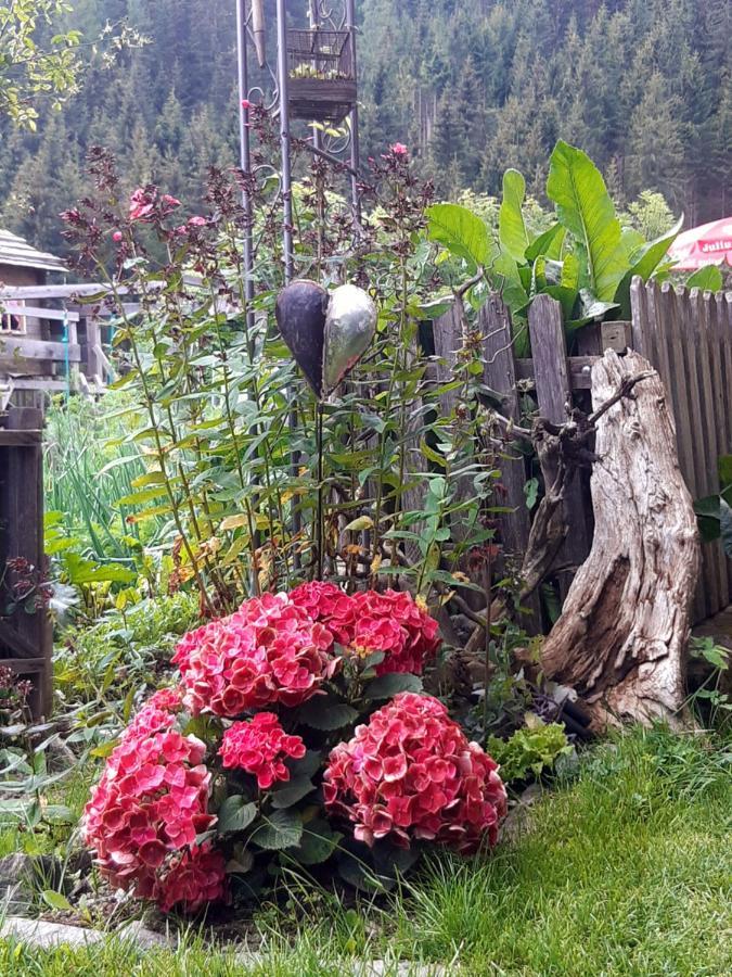 Bed & Breakfast Dolomiti Bey Haus Pinter Assling Exterior photo