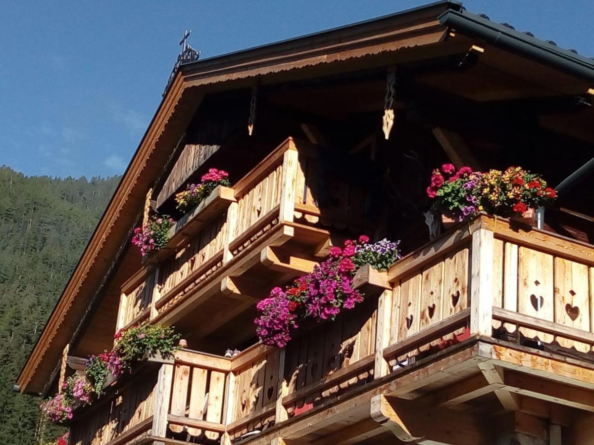 Bed & Breakfast Dolomiti Bey Haus Pinter Assling Exterior photo