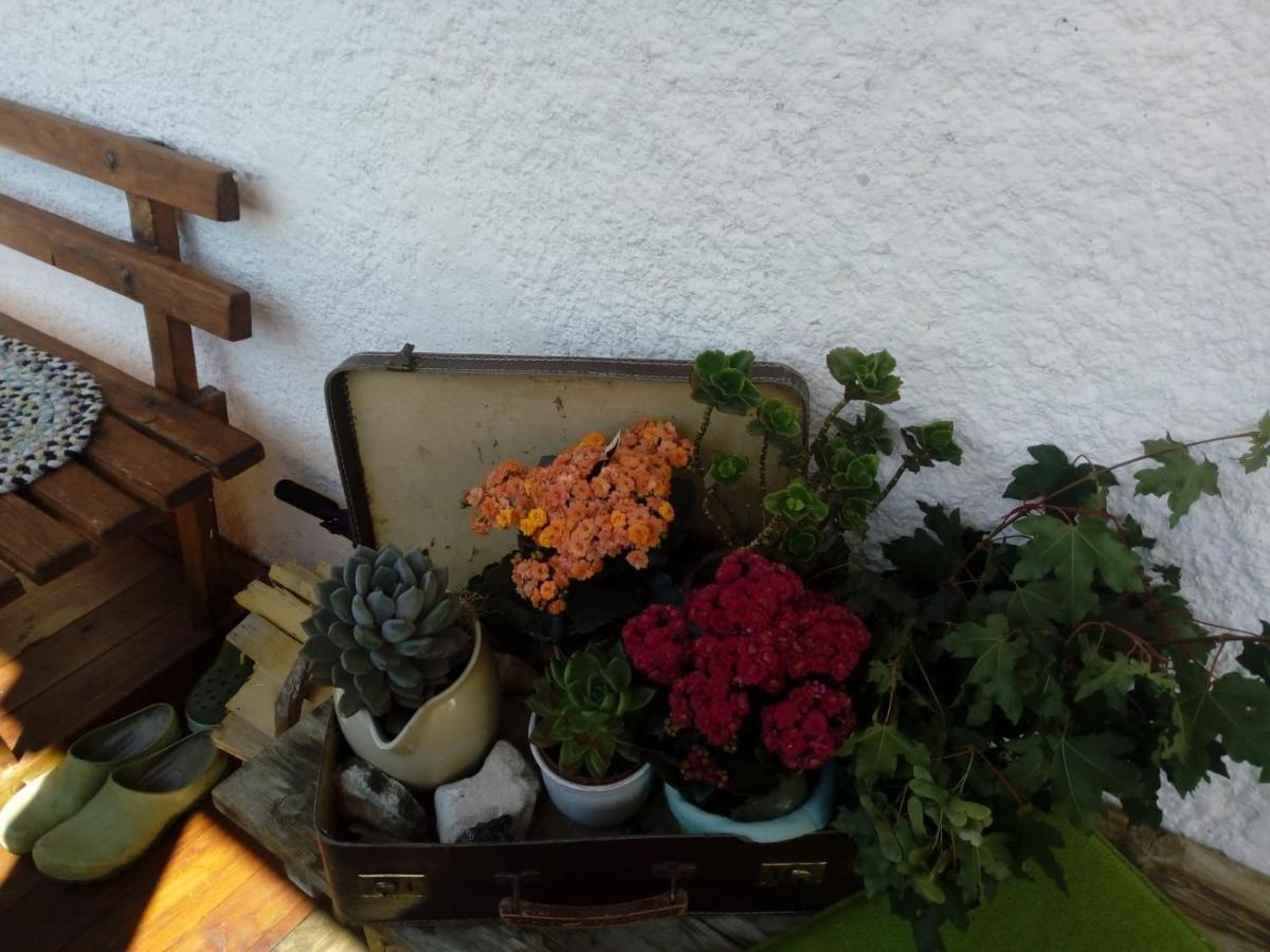Bed & Breakfast Dolomiti Bey Haus Pinter Assling Exterior photo