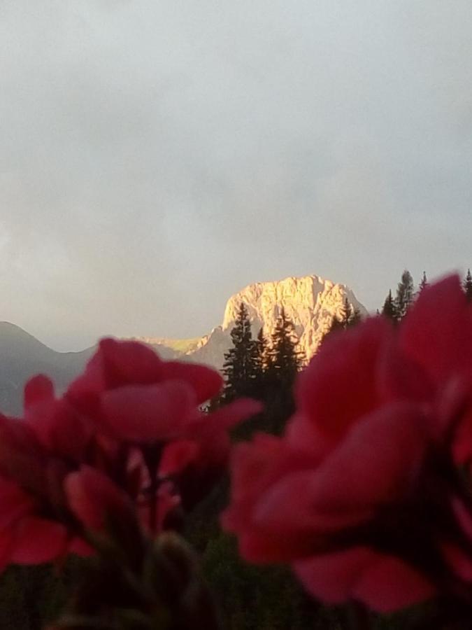 Bed & Breakfast Dolomiti Bey Haus Pinter Assling Exterior photo