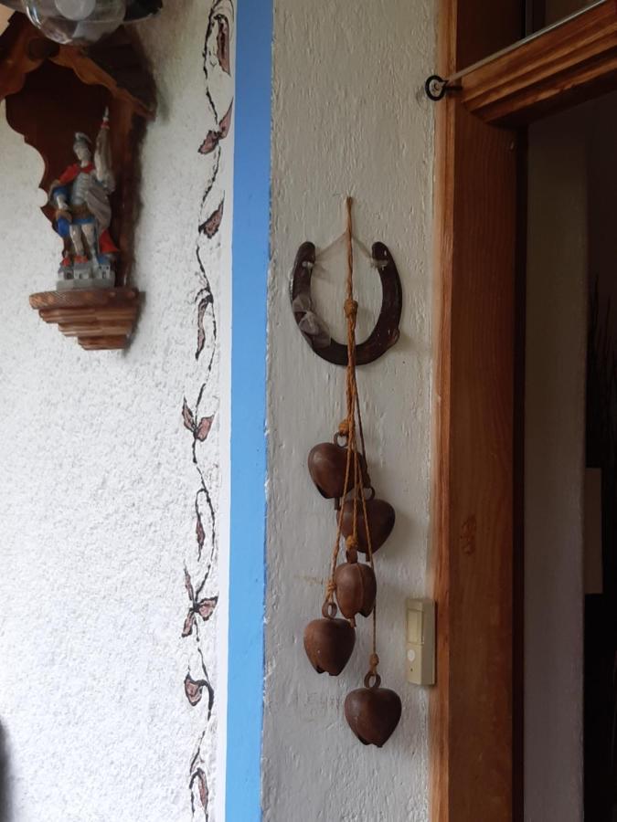 Bed & Breakfast Dolomiti Bey Haus Pinter Assling Exterior photo