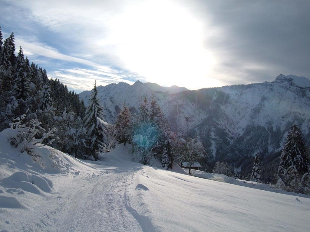 Bed & Breakfast Dolomiti Bey Haus Pinter Assling Exterior photo