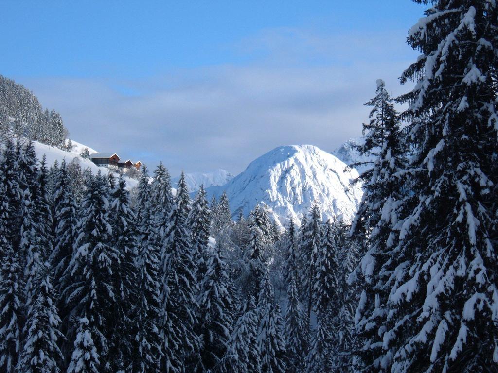 Bed & Breakfast Dolomiti Bey Haus Pinter Assling Exterior photo