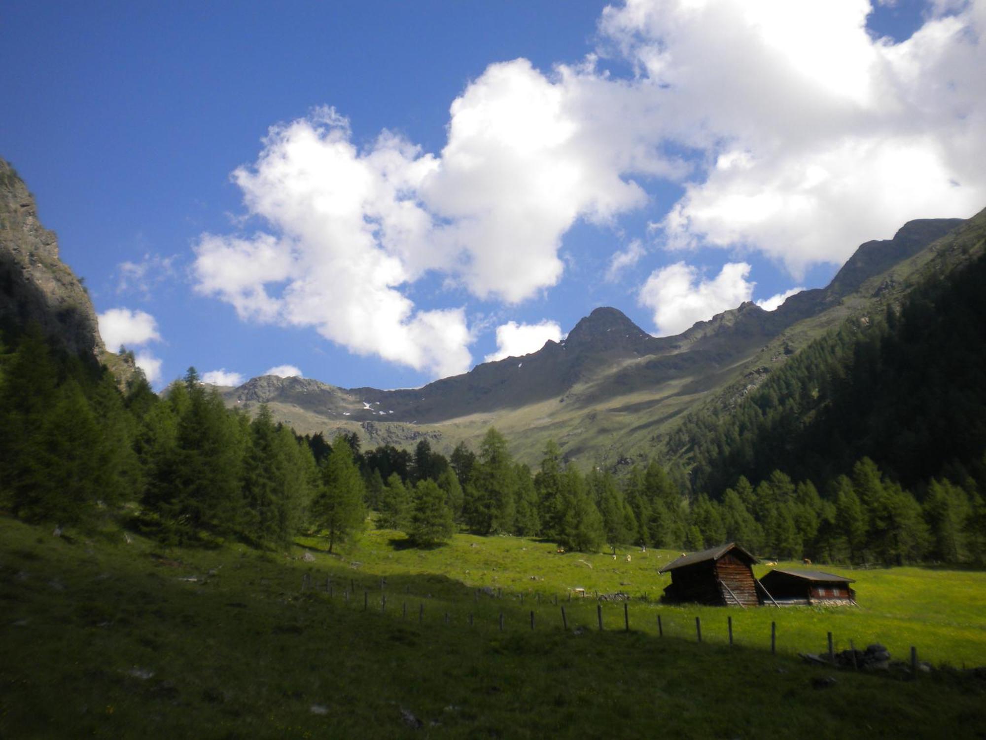 Bed & Breakfast Dolomiti Bey Haus Pinter Assling Exterior photo