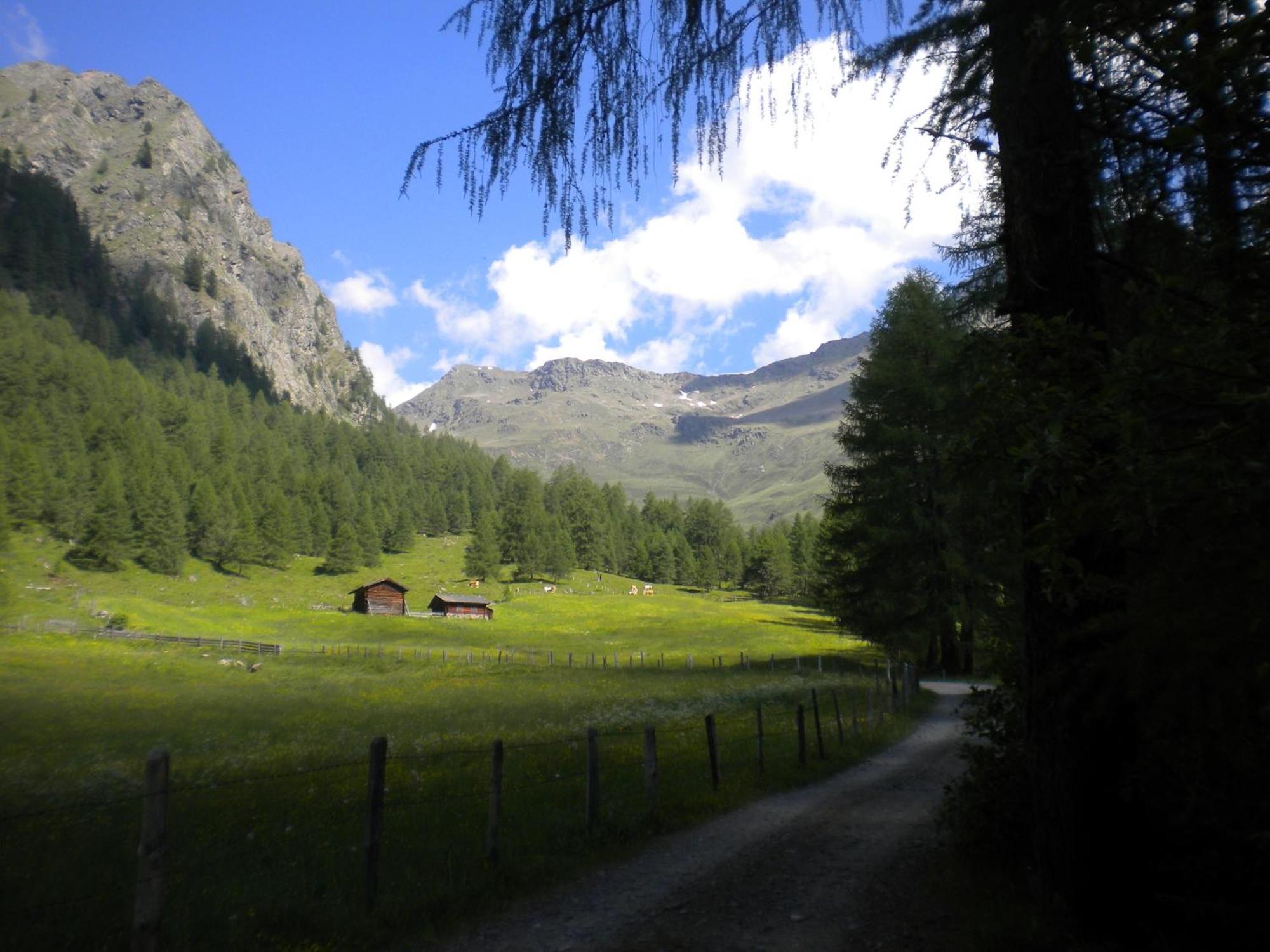 Bed & Breakfast Dolomiti Bey Haus Pinter Assling Exterior photo
