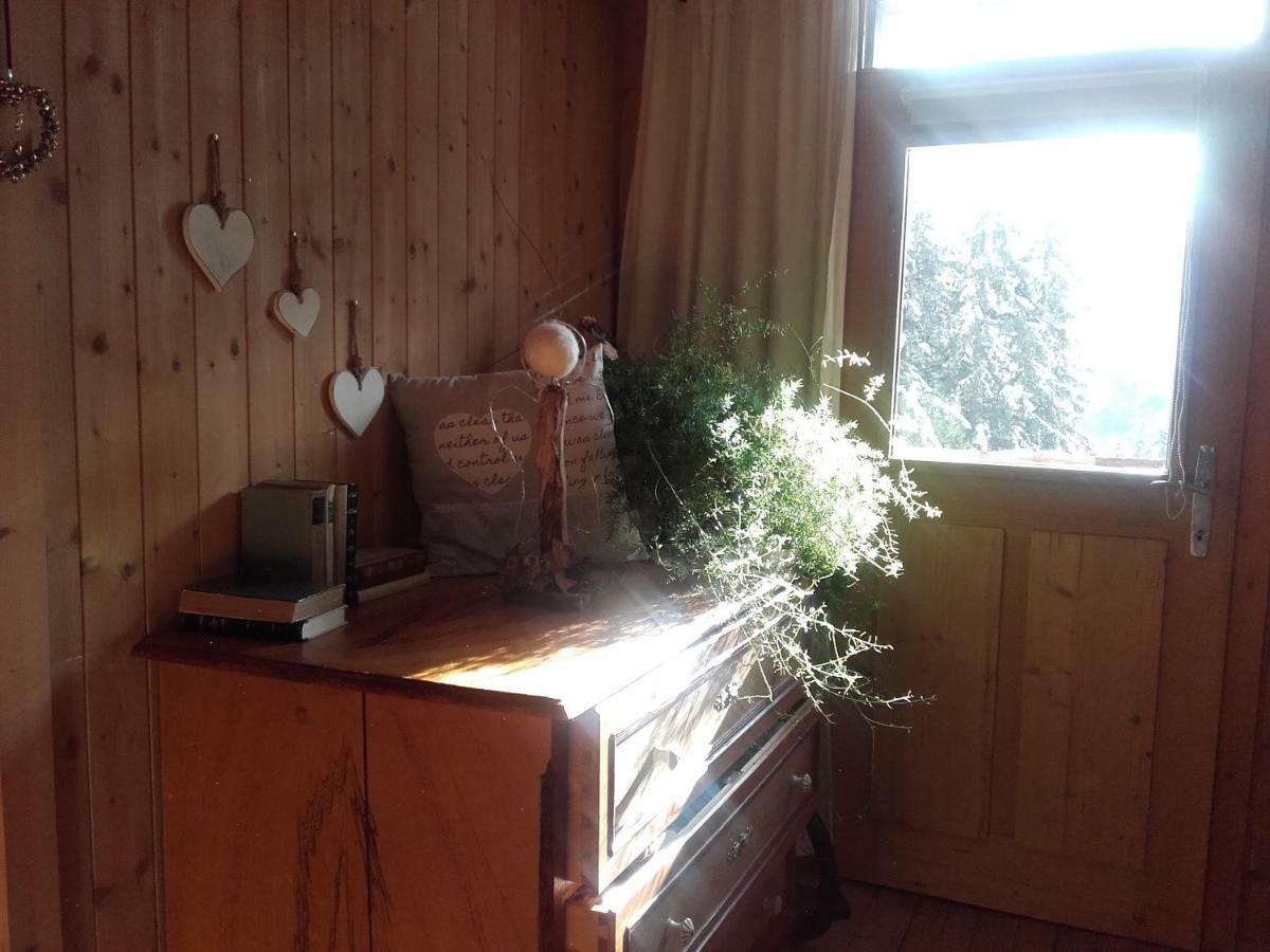 Bed & Breakfast Dolomiti Bey Haus Pinter Assling Exterior photo