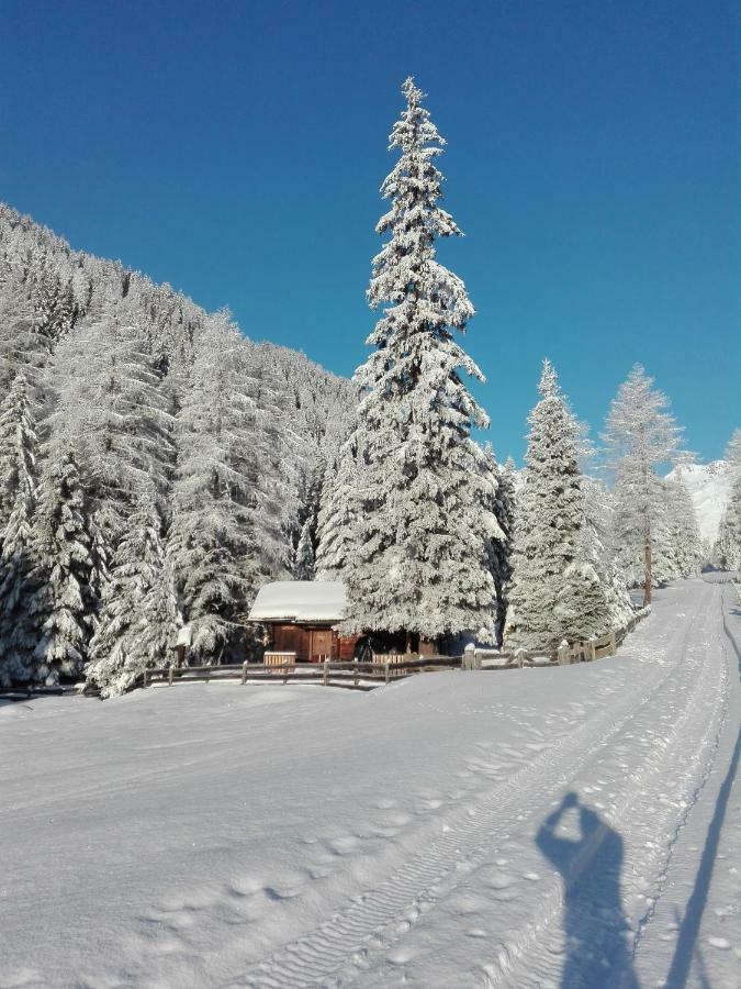 Bed & Breakfast Dolomiti Bey Haus Pinter Assling Exterior photo