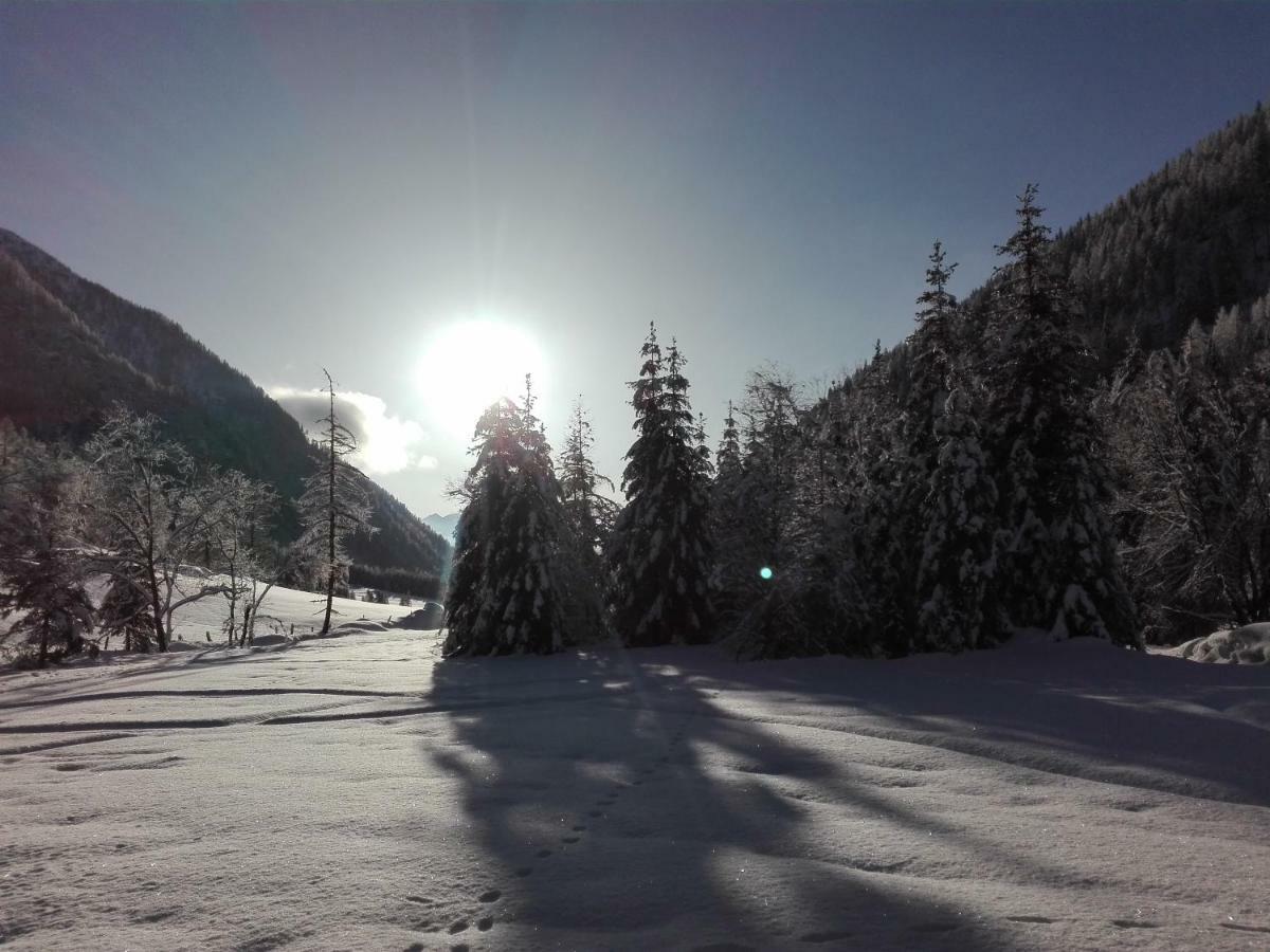 Bed & Breakfast Dolomiti Bey Haus Pinter Assling Exterior photo