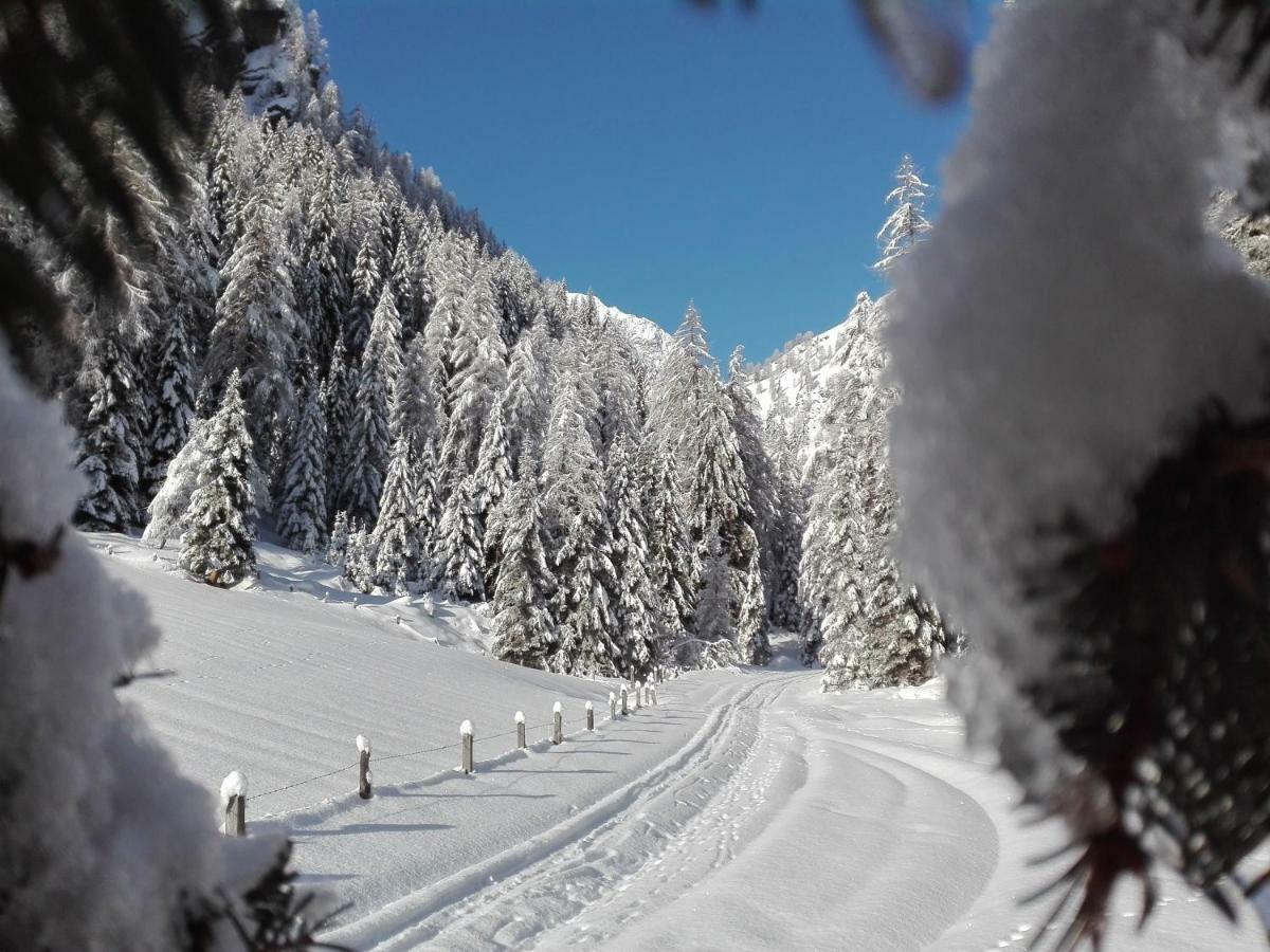Bed & Breakfast Dolomiti Bey Haus Pinter Assling Exterior photo